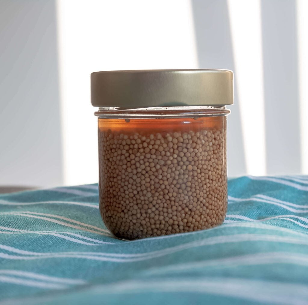 Senfkaviar-Senfkoerner-mit-essig-honig-und-wasser-in-einem-Schraubgasbei-in-hellem-Hnitergrund-