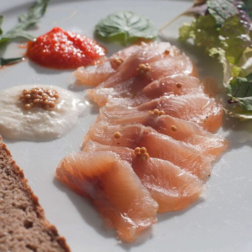 Garved-Forelle-auf-weissen-Teller-angerichtet-mit-Salat-Meerettich-und-Senfkaviar-